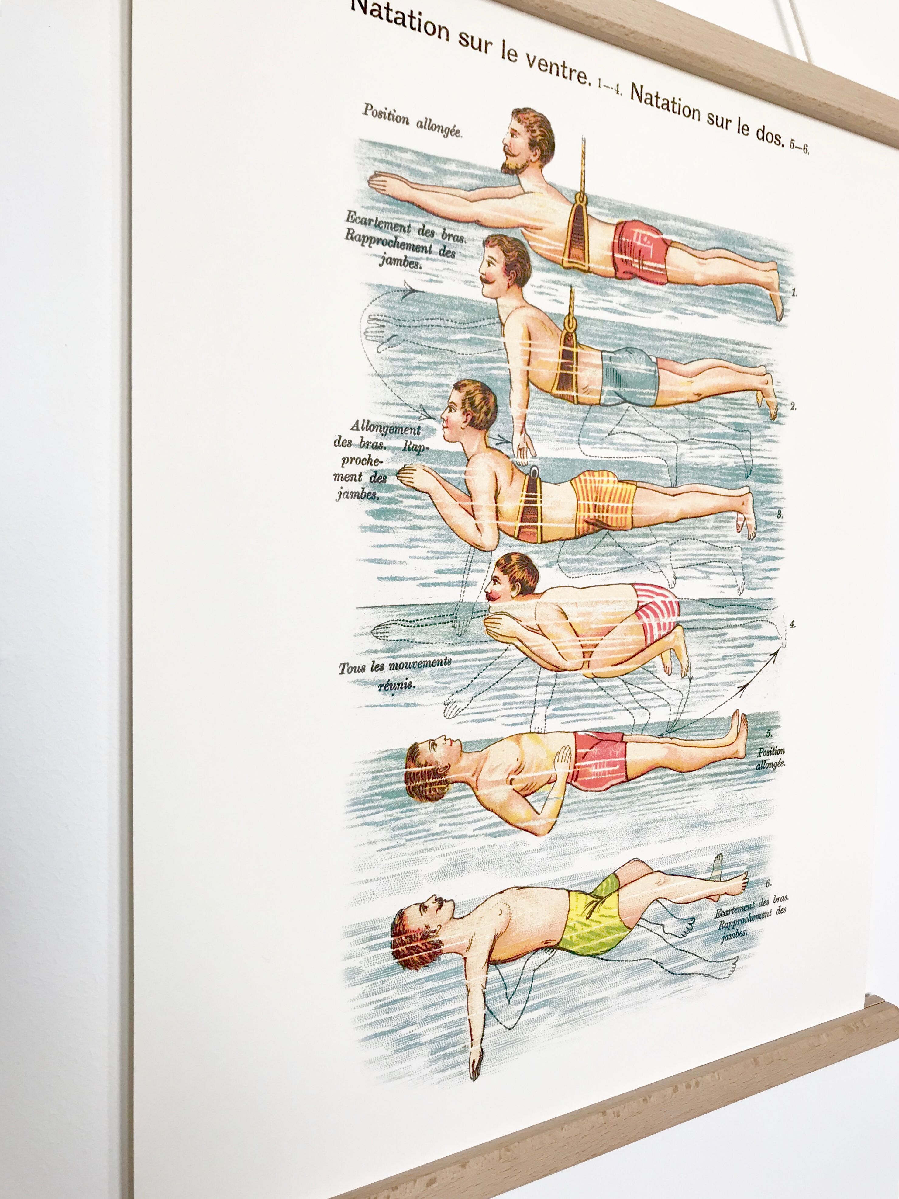 Poster in colors decomposing the movements of swimming