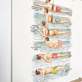 Poster in colors decomposing the movements of swimming
