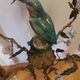 Chandelier cage décor birds and flowers in Meissen porcelain