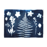 Illustration  botanique cyanotype signé eawy cy667