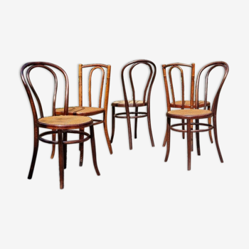 5 chaises bistrot Fischel et Türpe 1900 ca