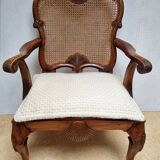 Chippendale Bergere Armchair, Carved Mahogany with Cane and Lion Claw Ball