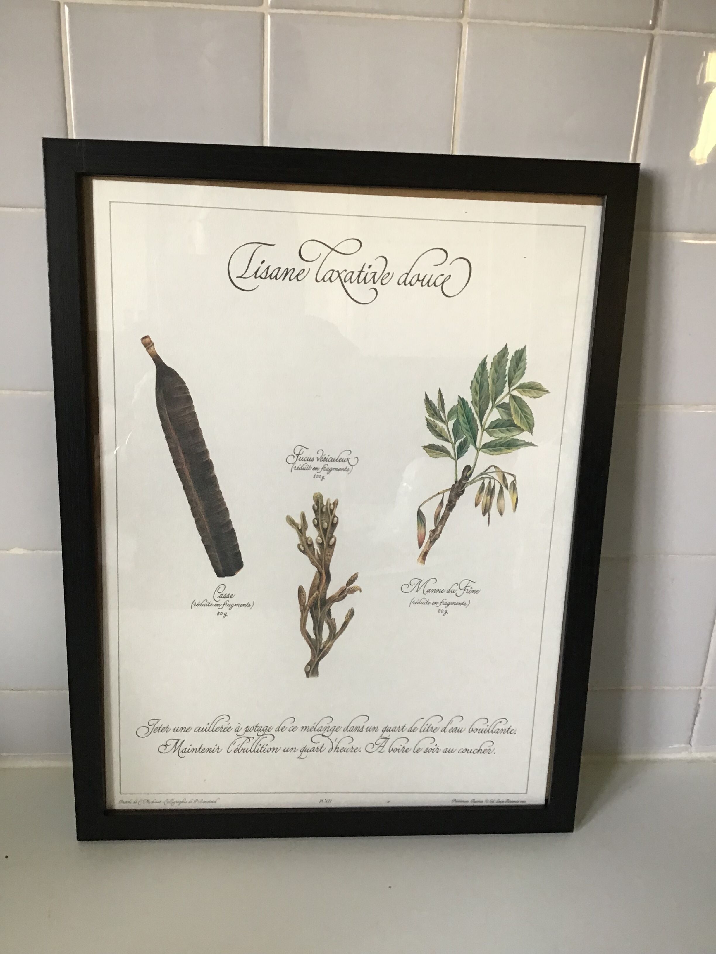 Gravure botanique precieuses tisanes encadree