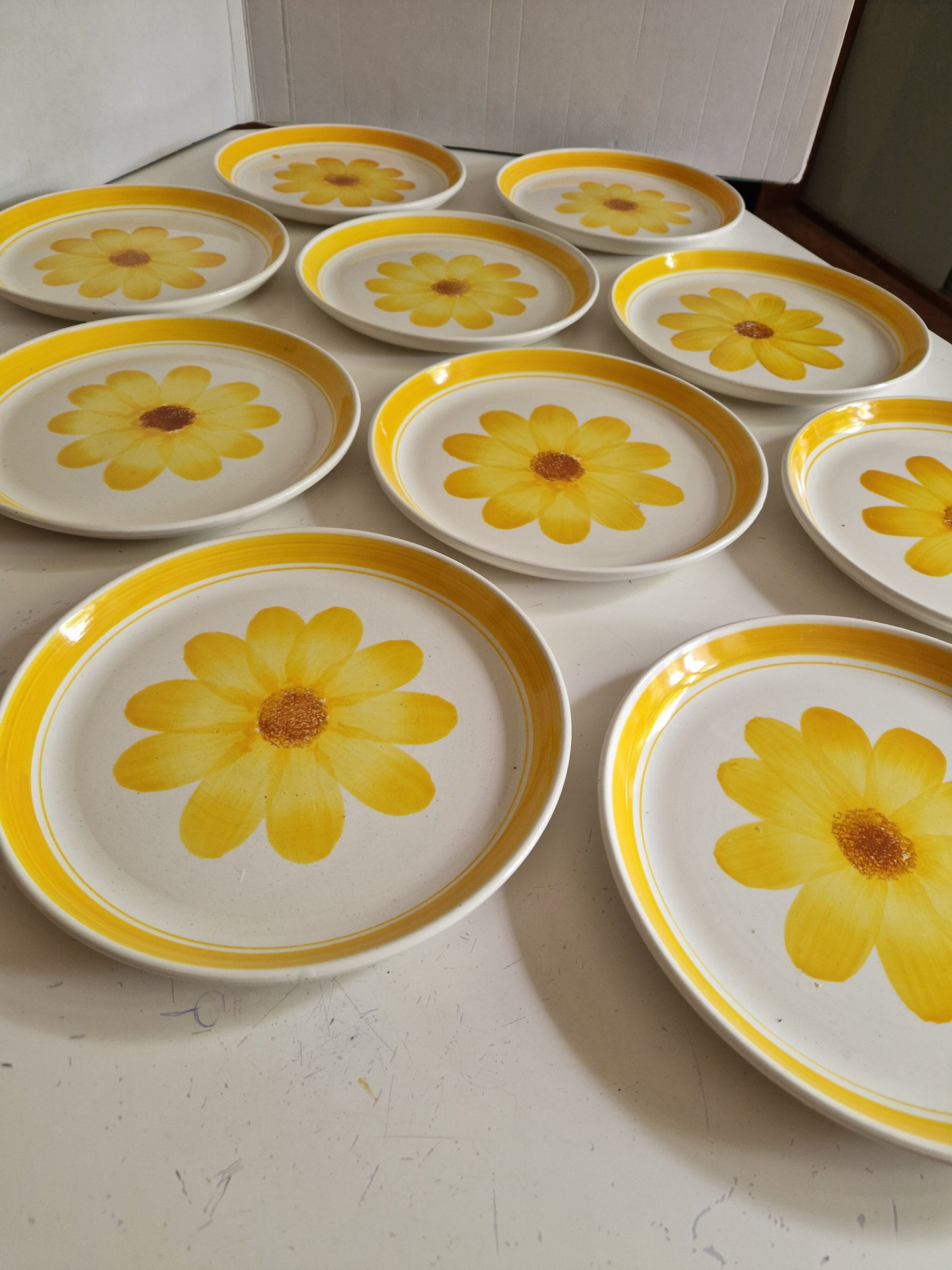 Set of 10 Flat Plates Sarreguemines Model Roseline
