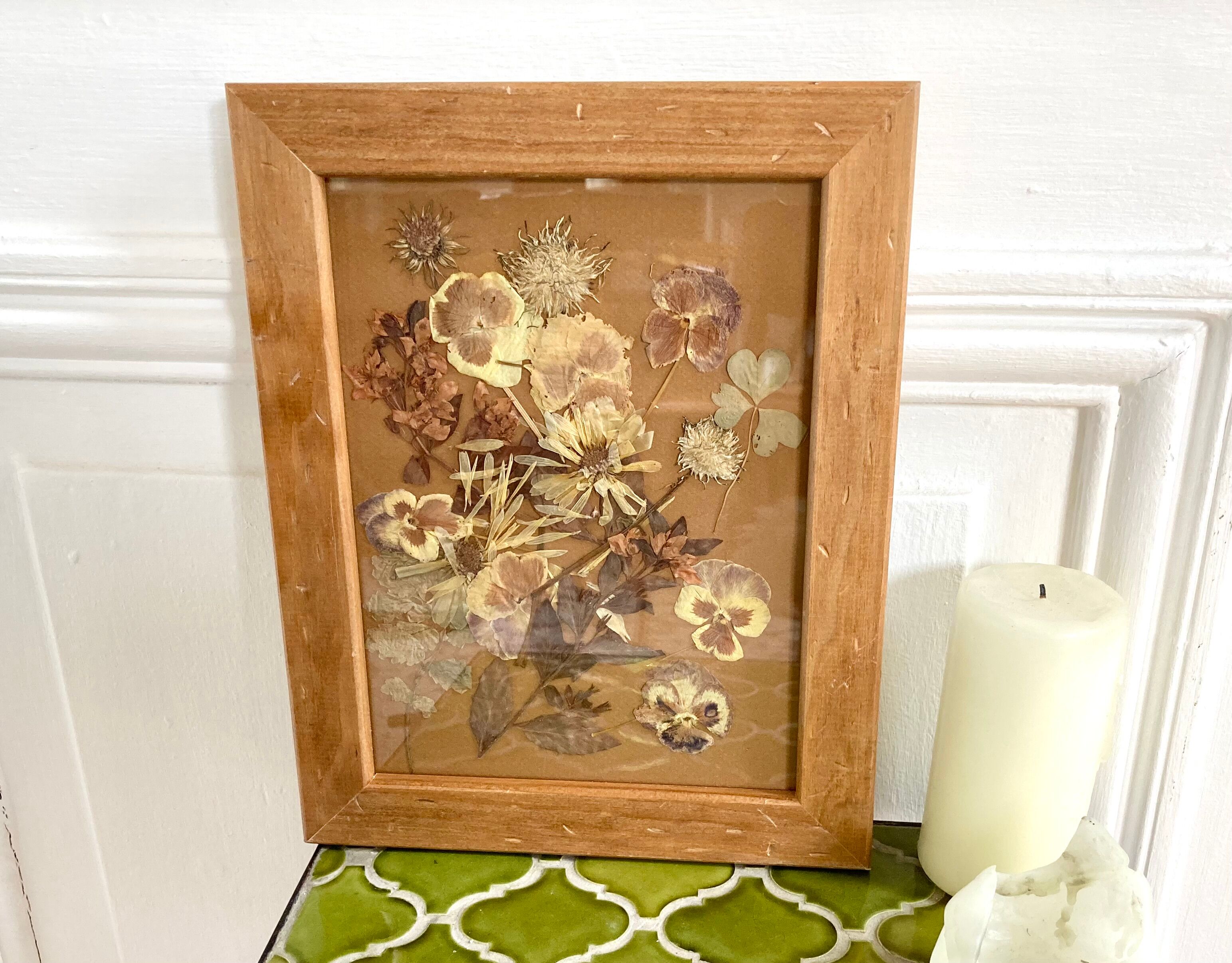 Herbarium frame