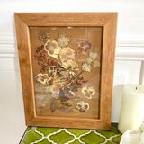 Herbarium frame
