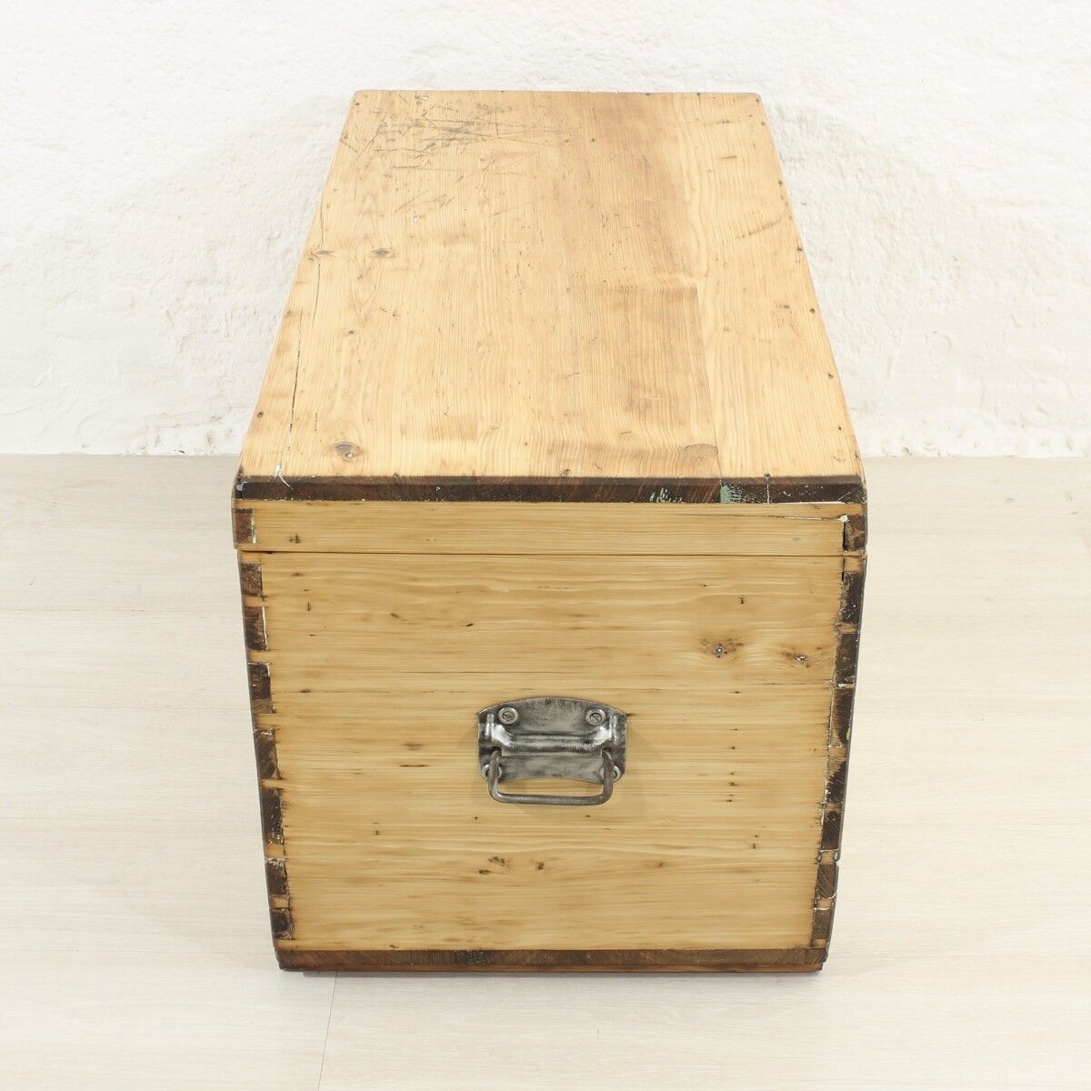 Antique fir trunk