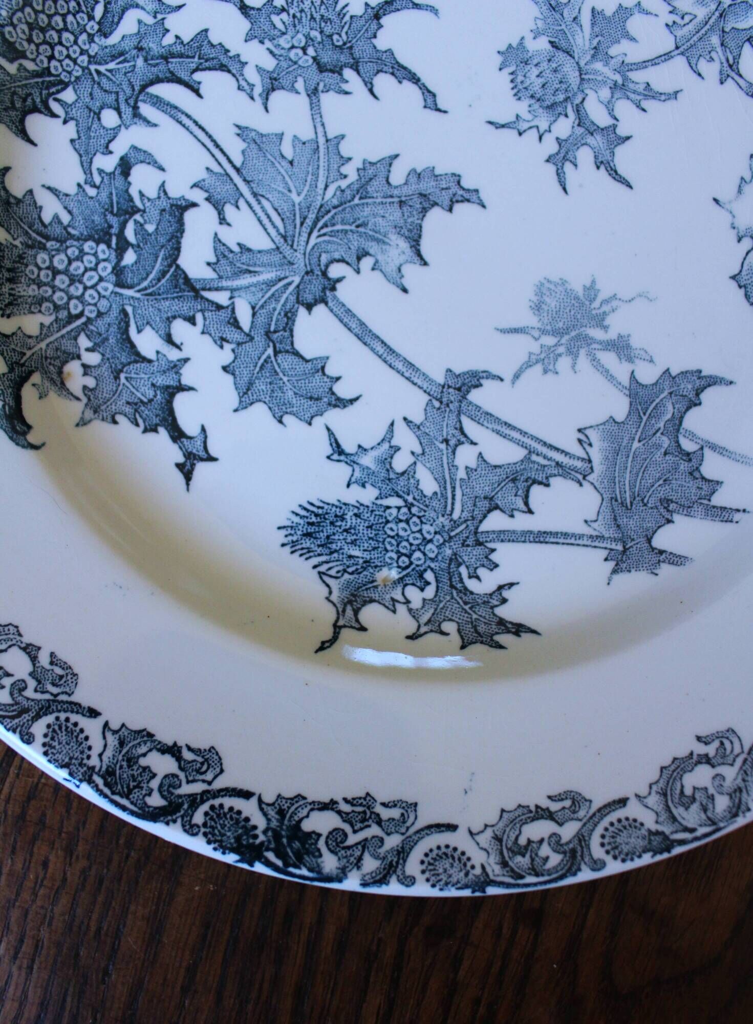 A set of 5 flat plates Chardon Bleu Terre de Fer Clairefontaine Righi