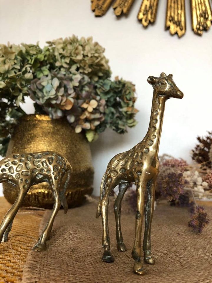 Pair of two giraffes