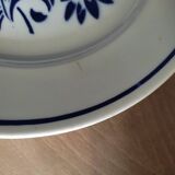 Flat plates blue flower Badonviller