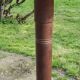 Floor lamp with shelf of the 40s/50s in beech lampshade red fabric