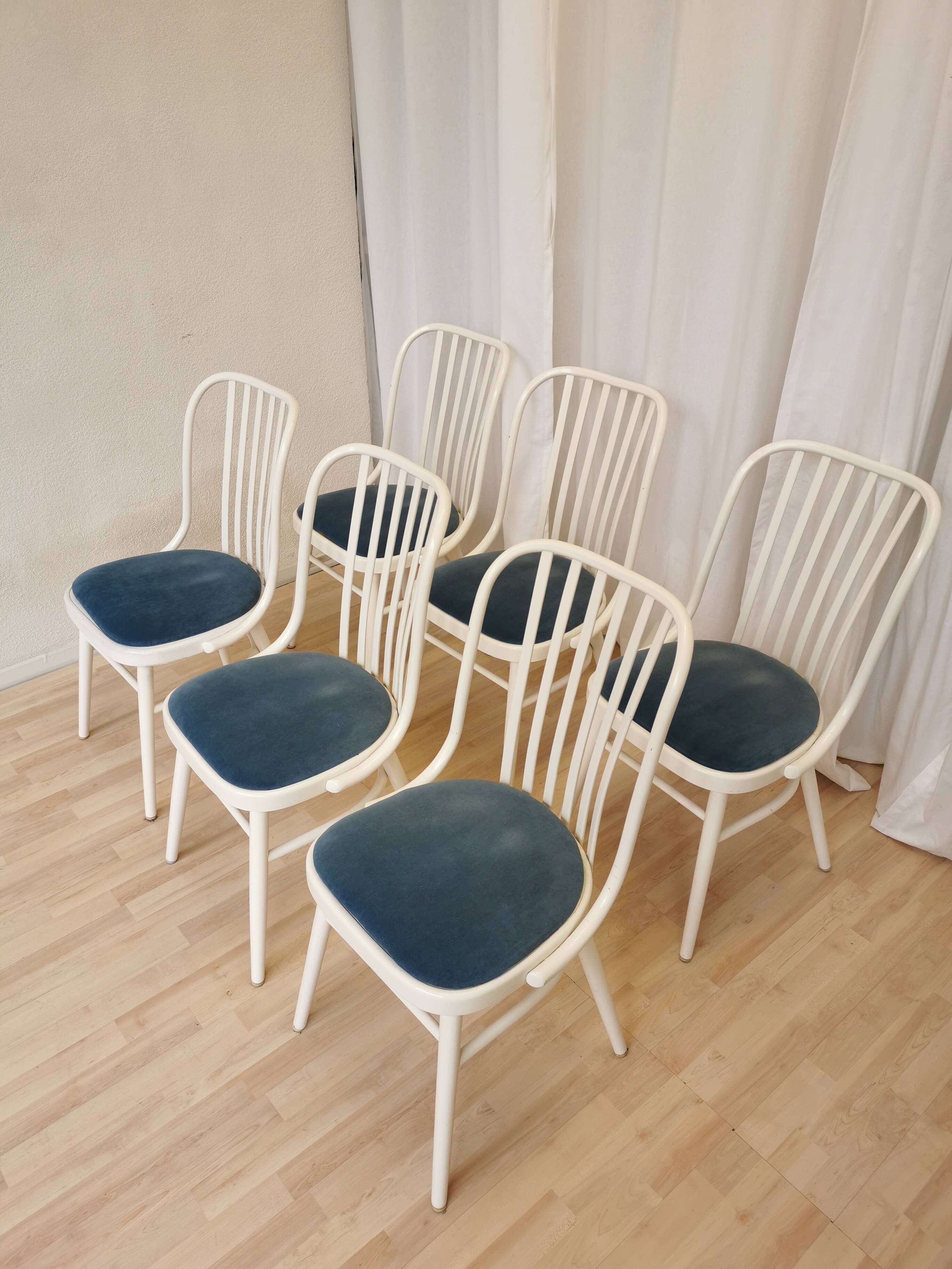 Set of 6 Vintage Bentwood Dining Chairs: White Ligna Style, Blue Fabric