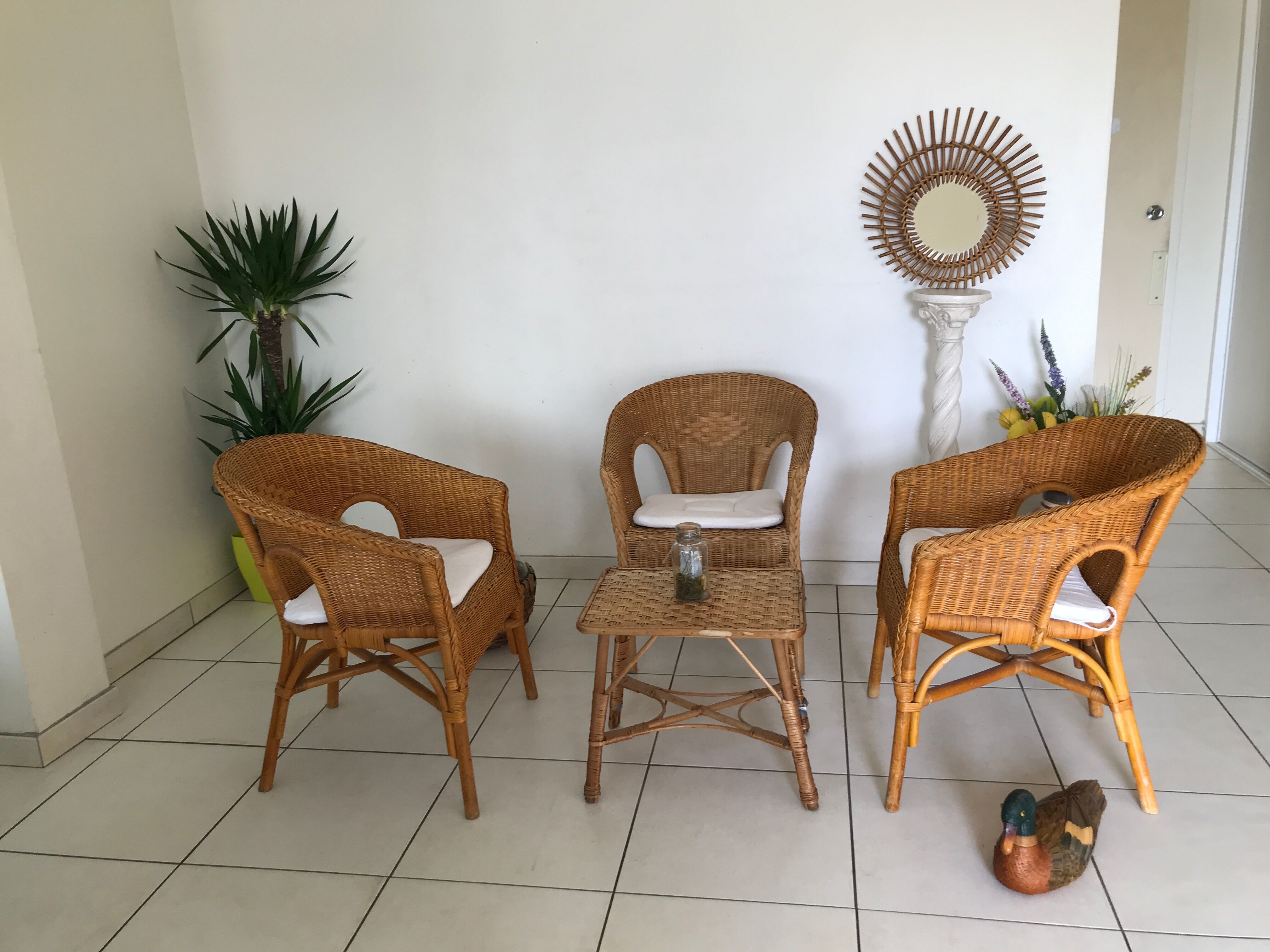 Vintage rattan garden set