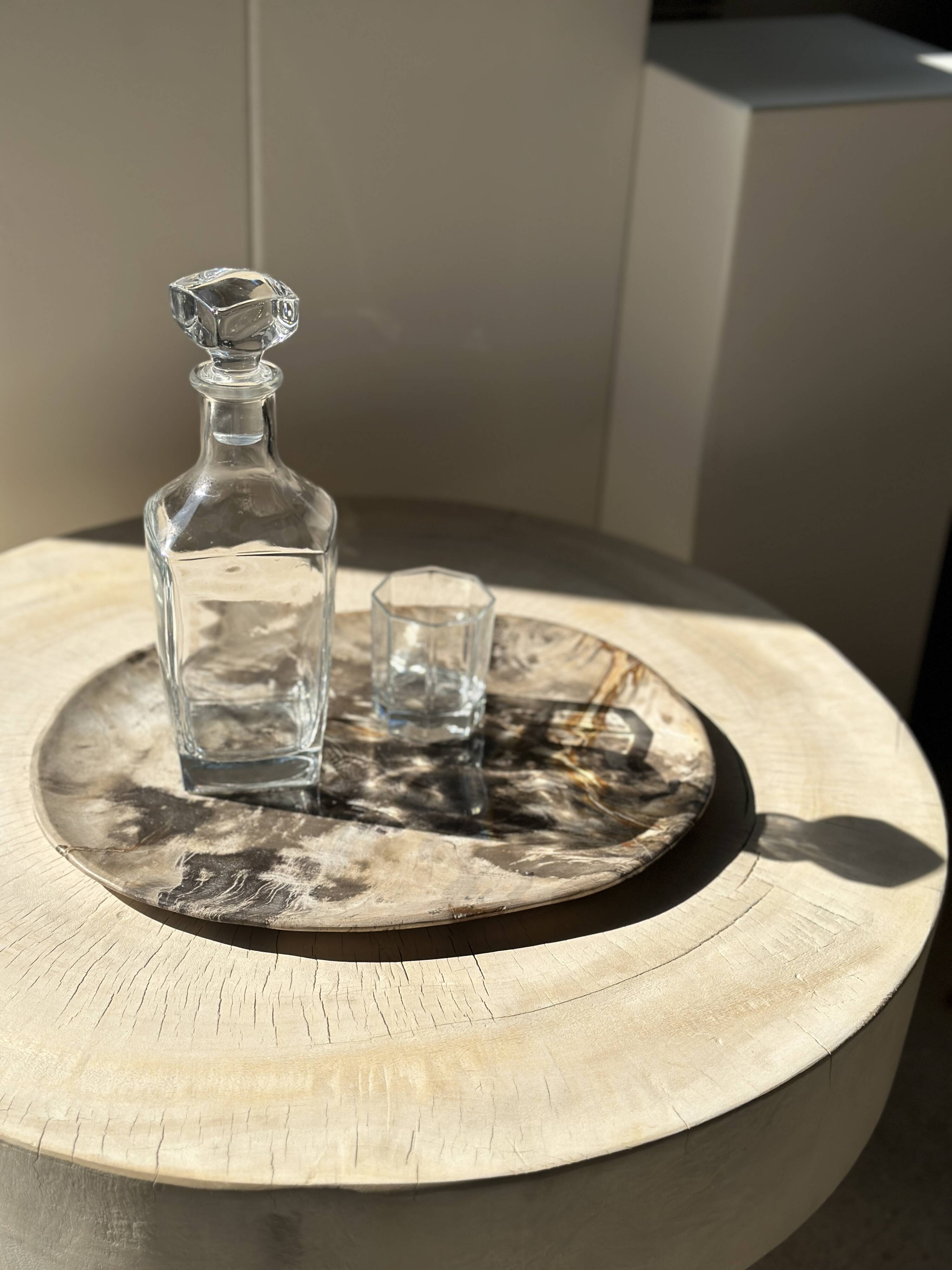 Very large pocket or dish in petrified wood