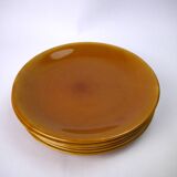 Six flat plates Longchamp