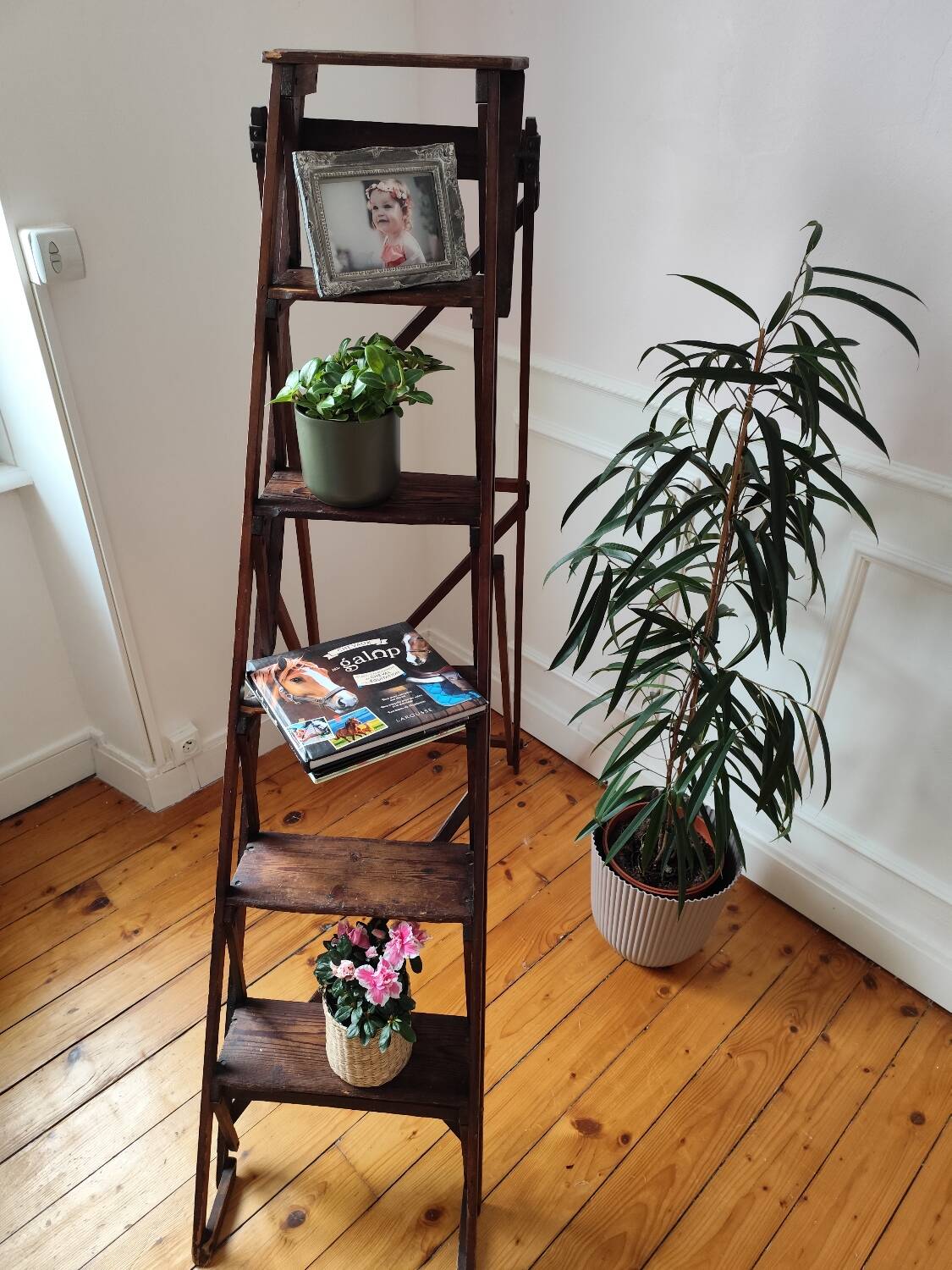 Antique stepladder