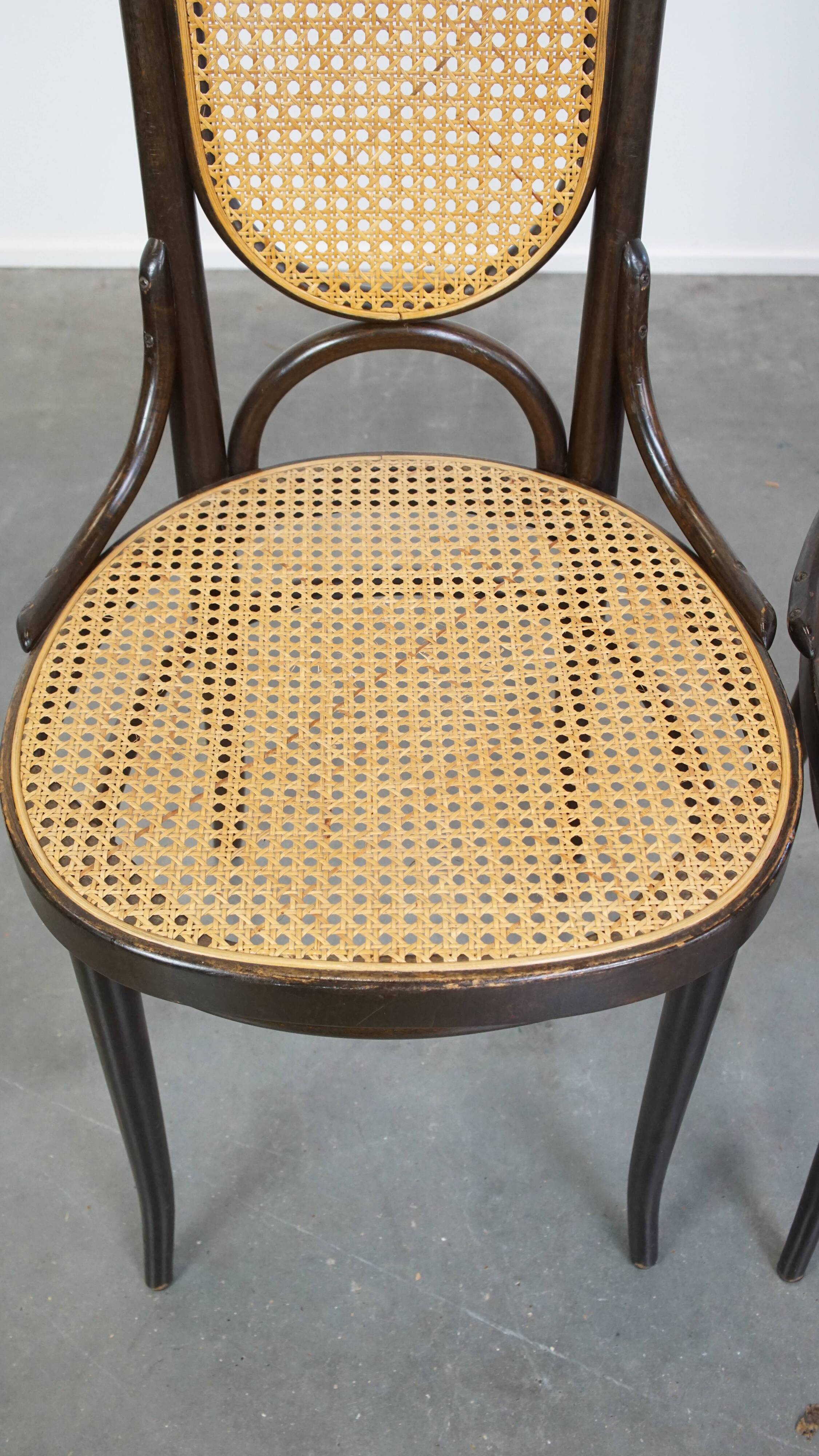 Lot de 4 chaises hautes vintage en bois courbé « Long John » de Thonet