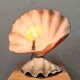 Clam shell lamp
