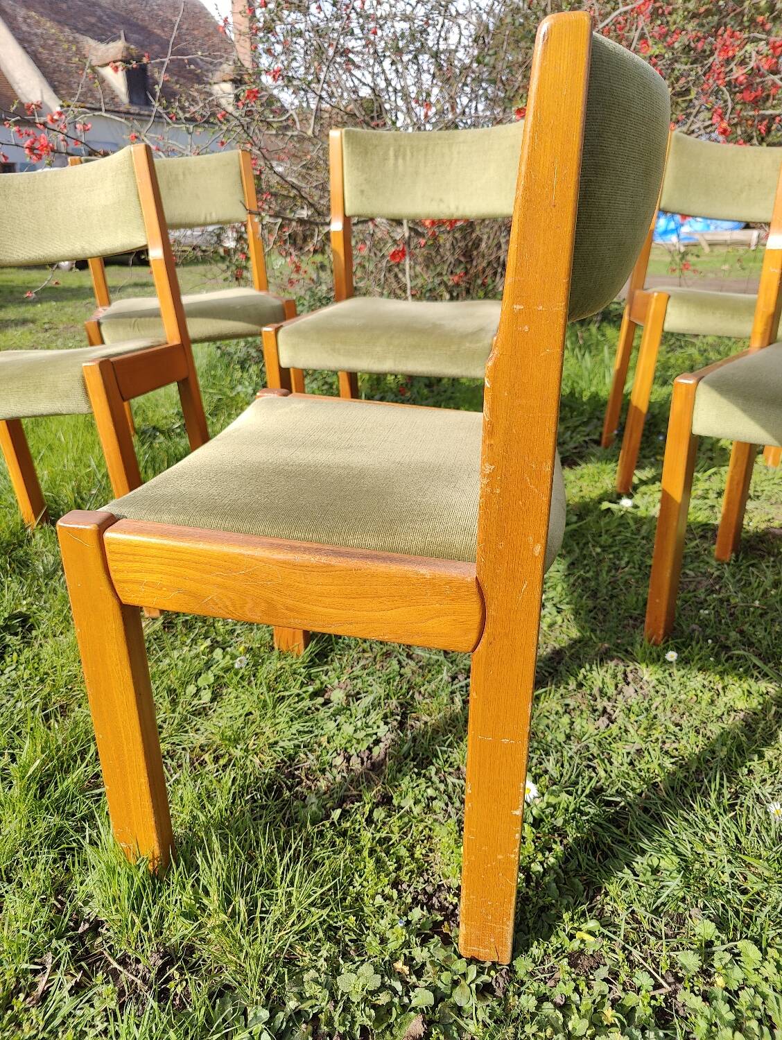 Set of 6 wooden chairs with velvet seat