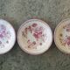 Set of 3 plates in Iron Earth Gien model Capucines