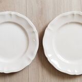 Plates in Terre de Fer earthenware from Sarreguemines