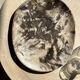 Very large empty pocket or dish in petrified wood