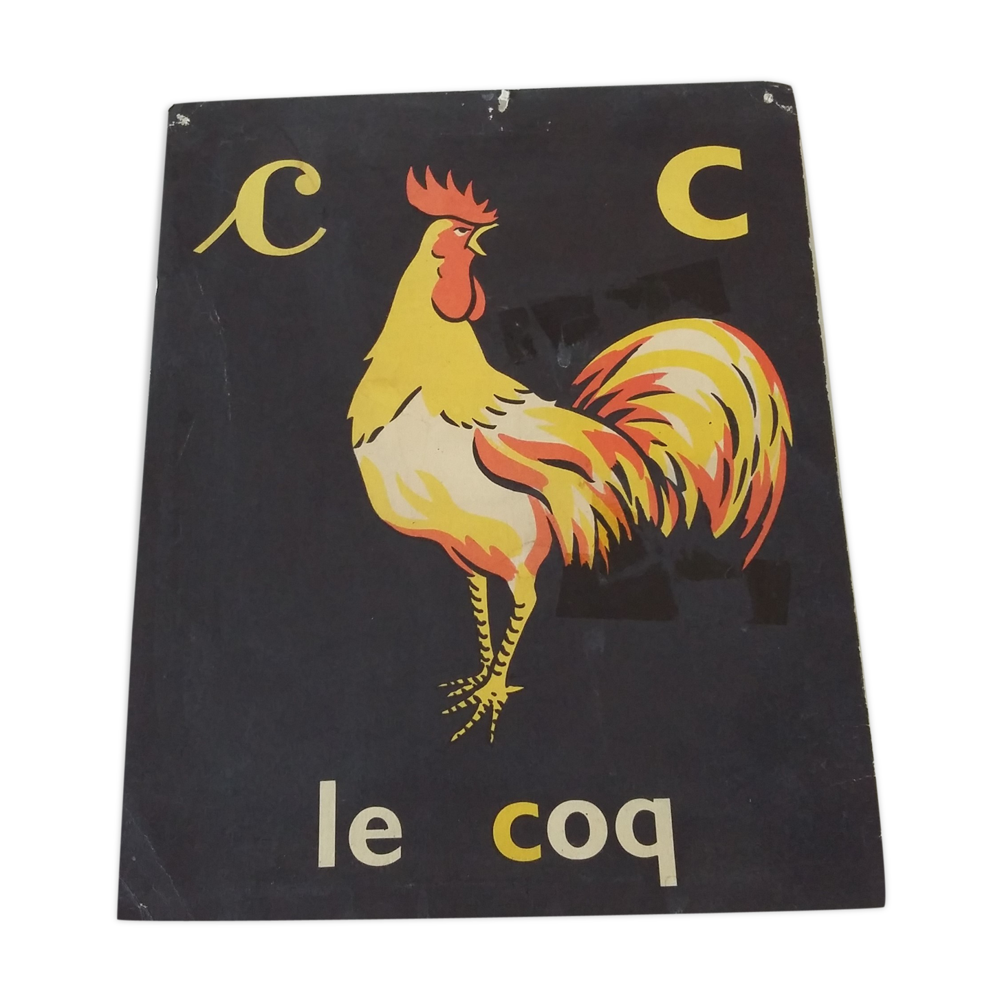 The rooster, reading image