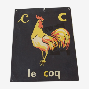 Le coq, image de lecture