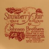 English porcelain plate