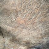 Brutalist coffee table in solid elm burl 108 cm diameter