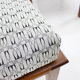 1930s Pair of Antonin Heythum Very Rare Armchairs + Stools, Czechoslovakia