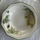 Set of 11 fruit-patterned bowls The Chartwell Collection England D17
