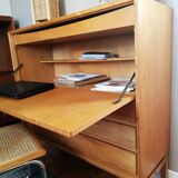 Scandinavian Secretary 1960