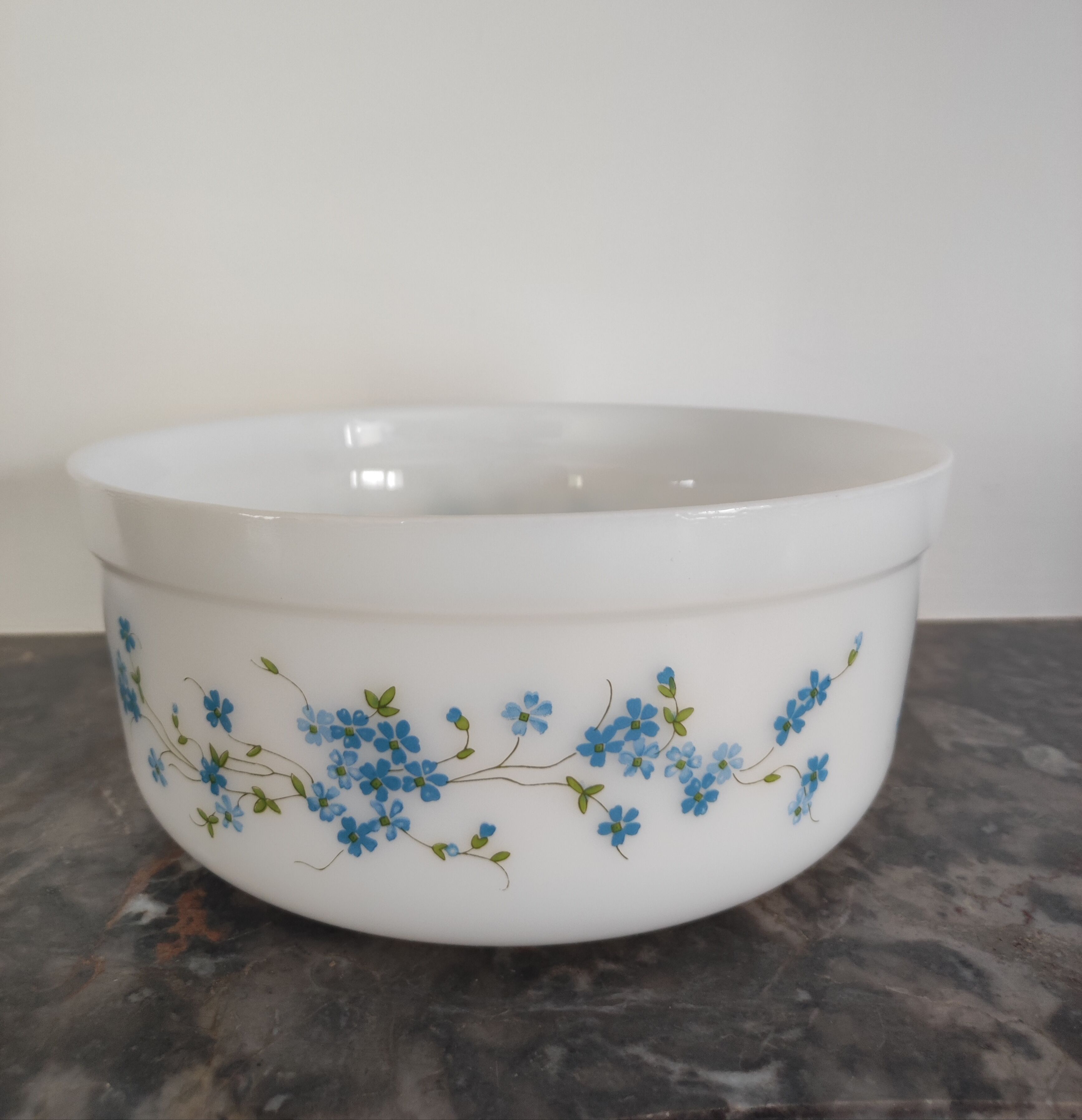 Salad bowl Arcopal Veronica series
