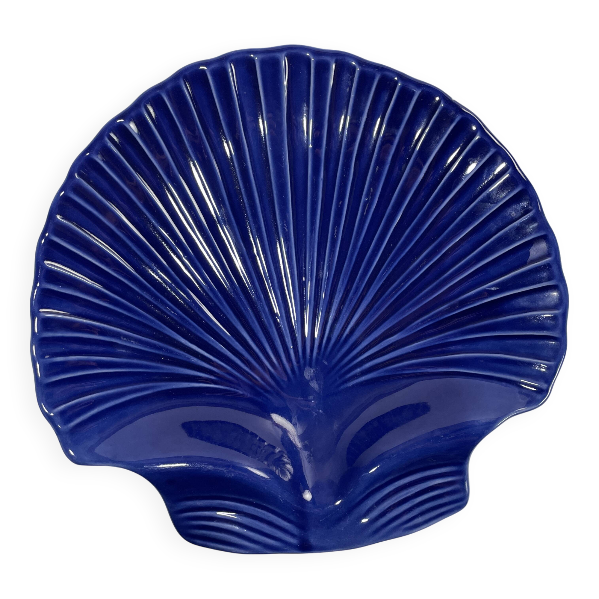 Blue Shell Dish