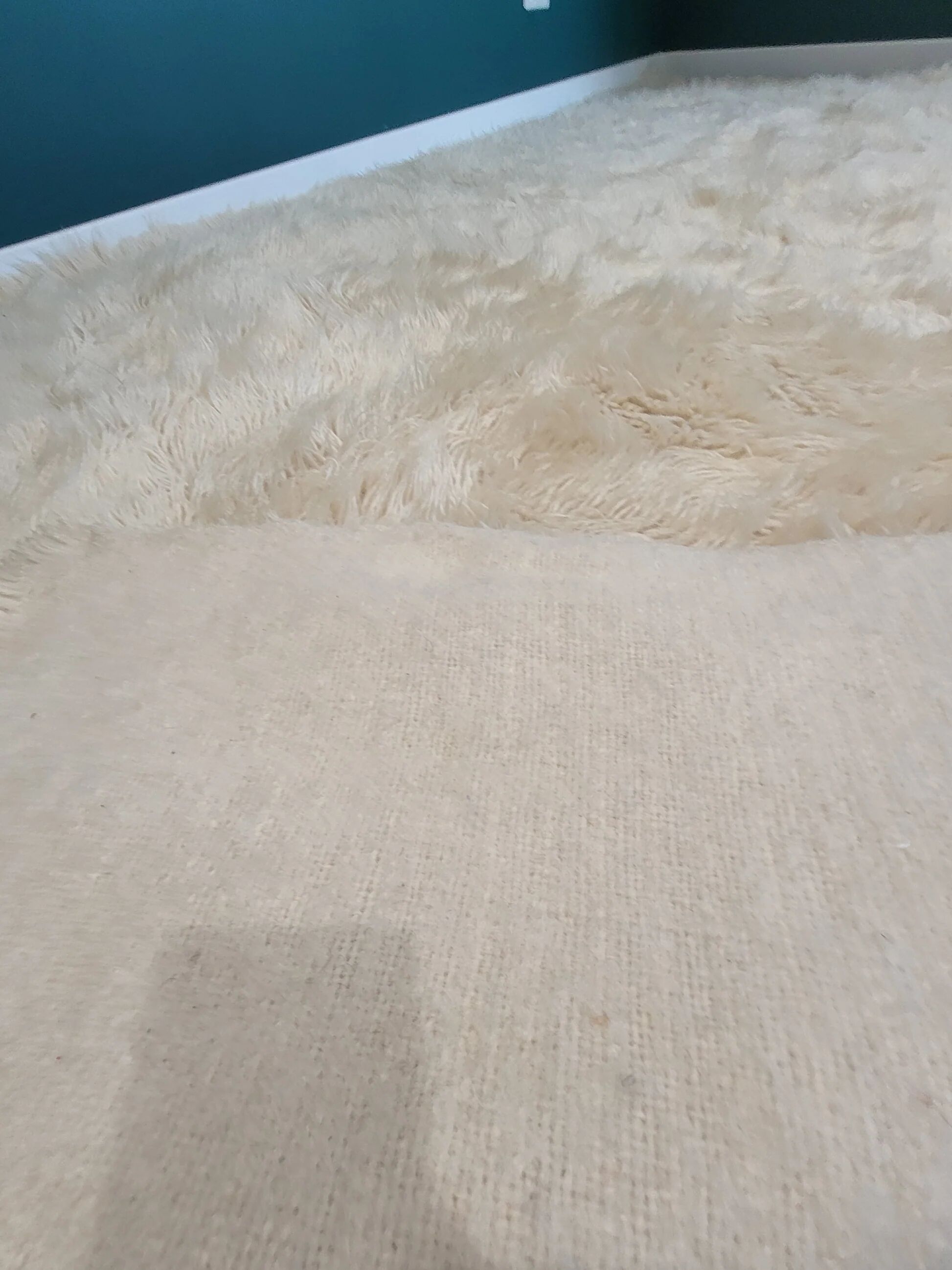 Long pile wool rug - 240x160cm - Ref 1005