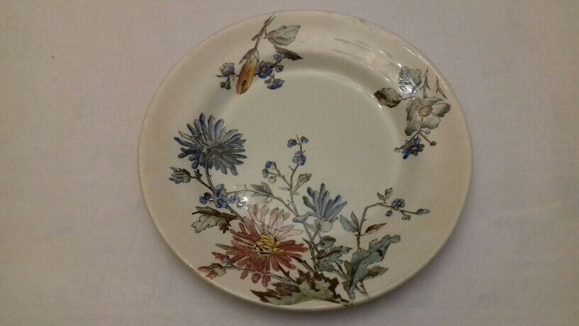 Lot of 13 old earthenware plates "iron earth"