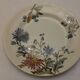 Lot of 13 old earthenware plates "iron earth"