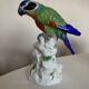 19th century Saxony porcelain parrot signed