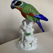 Perroquet en porcelaine de Saxe 19e signée