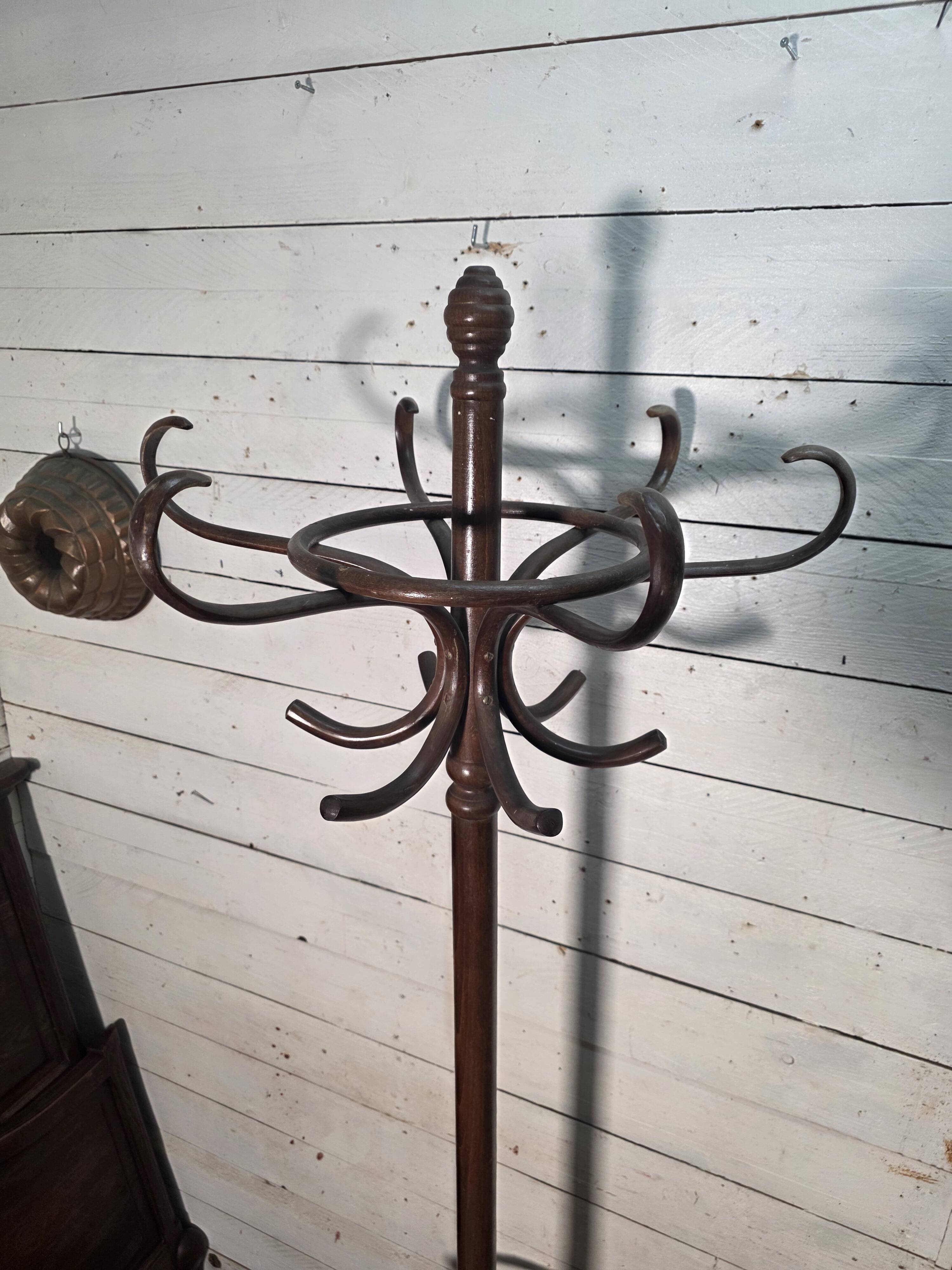Perroquet ancien en bois courbé + porte parapluie