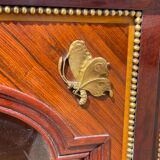 Louis XVI - Napoleon III Style Butterfly Library