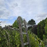 Wooden ladder