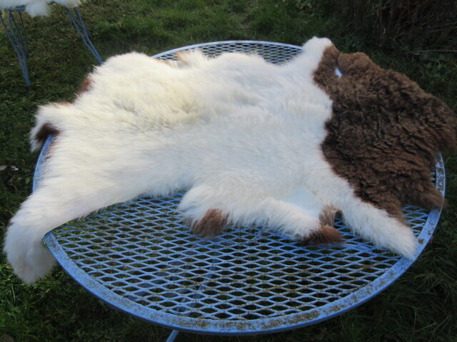 Sheepskin