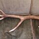 Deer Boix