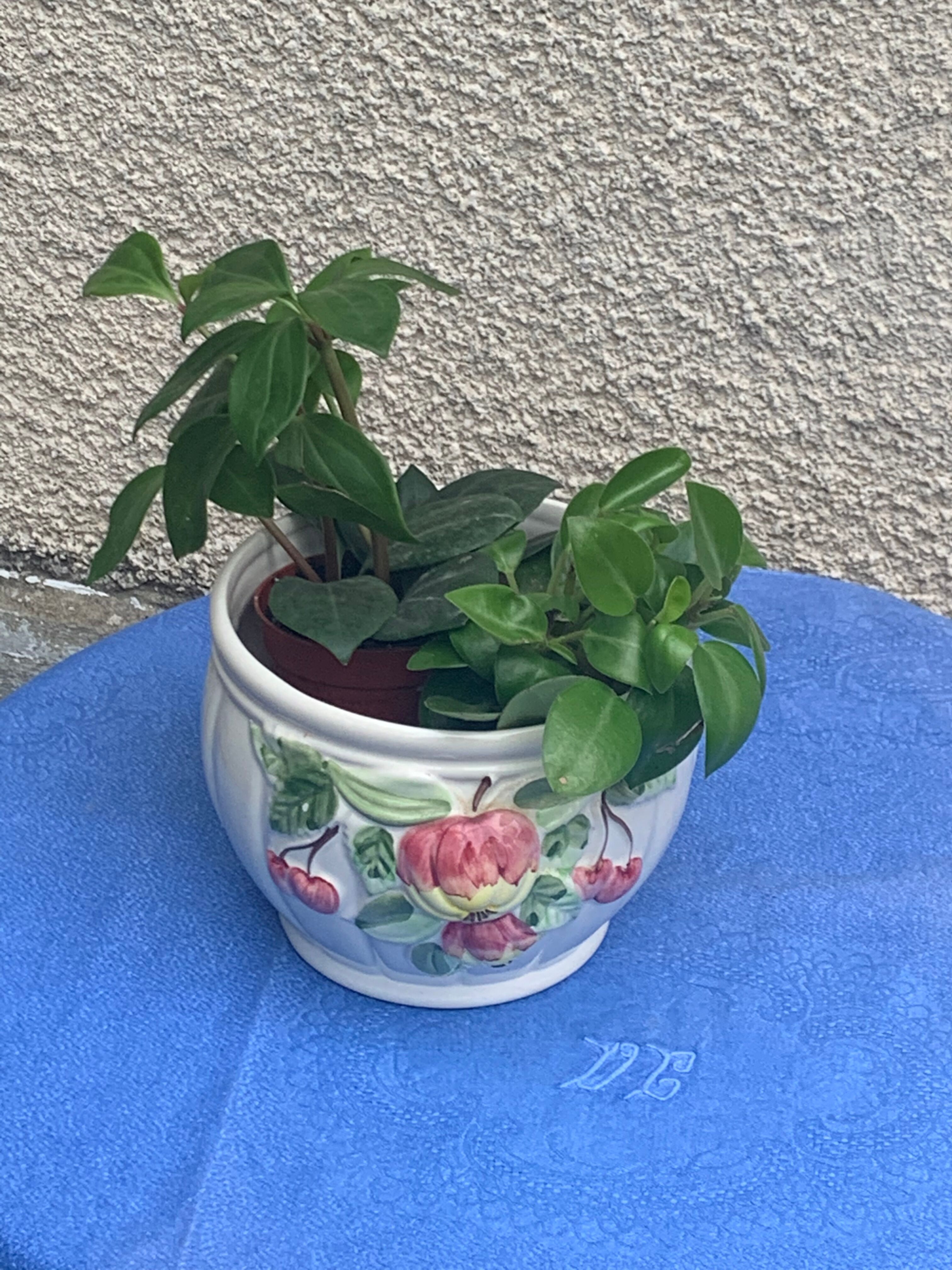 White glazed ceramic pot cover slurry vintage fruit