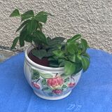 White glazed ceramic pot cover slurry vintage fruit