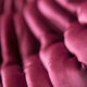 Togo sofa set model designed by Michel Ducaroy 1973