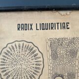 Vintage botanical poster wall board 1970's hand made pharmaceutical university