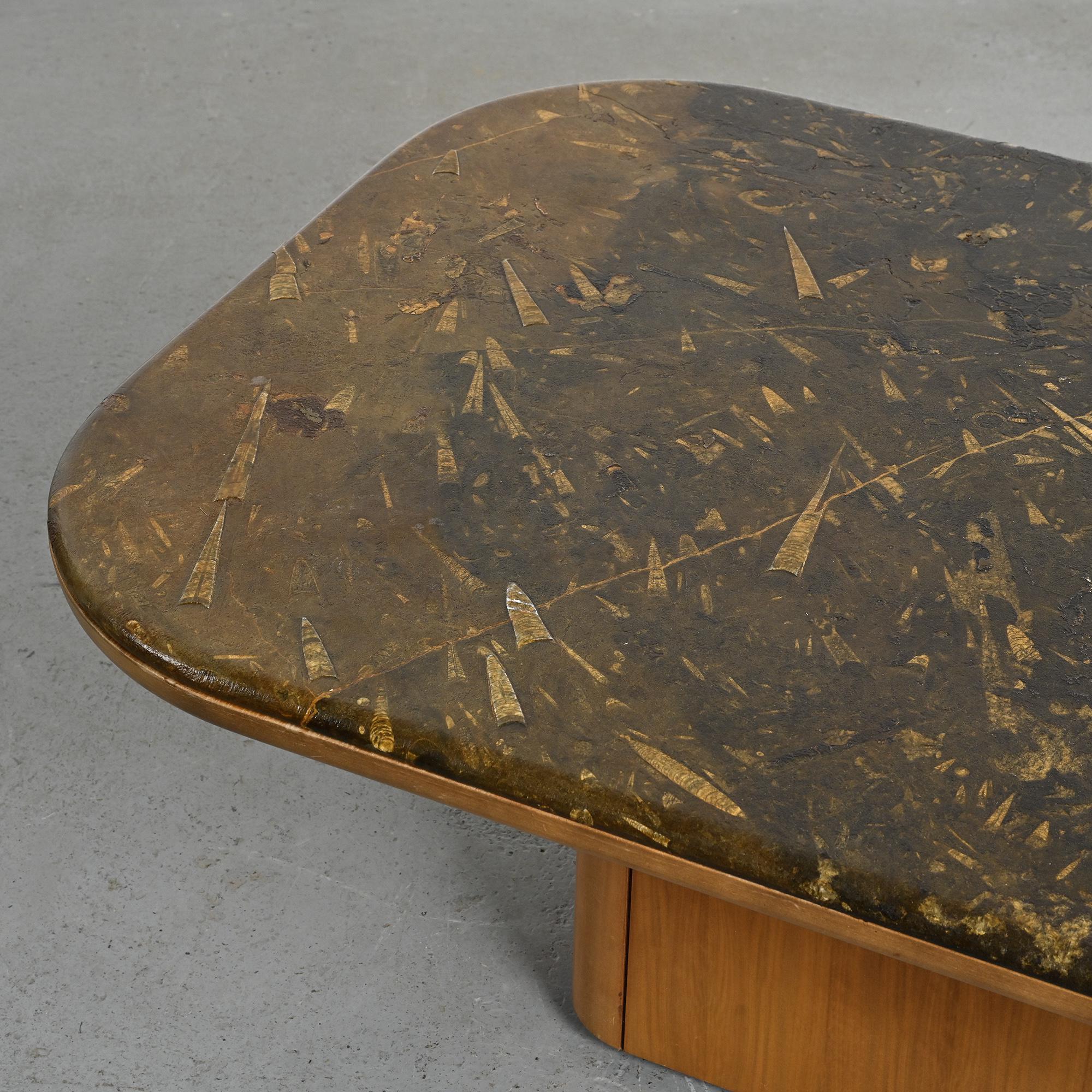 Fossil stone coffee table, Fossile collection, Switzerland, circa 1980.